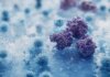 ¿La diabetes tipo 1 son en realidad dos enfermedades? Lo que la genética empieza a sugerir Representación del sistema HLA-DR3-DQ2/HLA-DR4-DQ8 y su papel en la respuesta autoinmune que destruye progresivamente las células beta del pÔncreas.